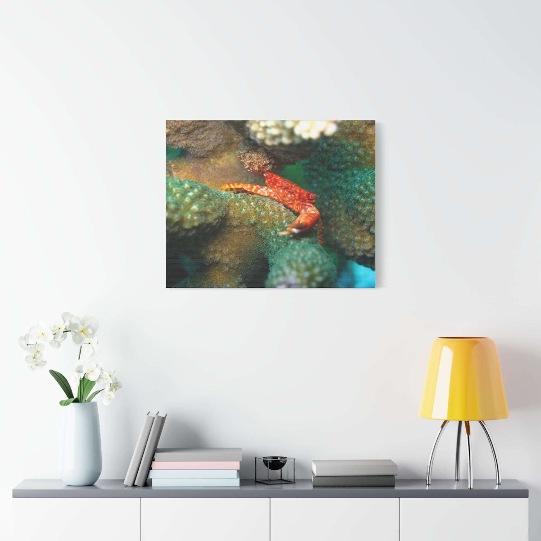 Coral Reef Crab Matte Canvas Print — Underwater Marine Wall Art