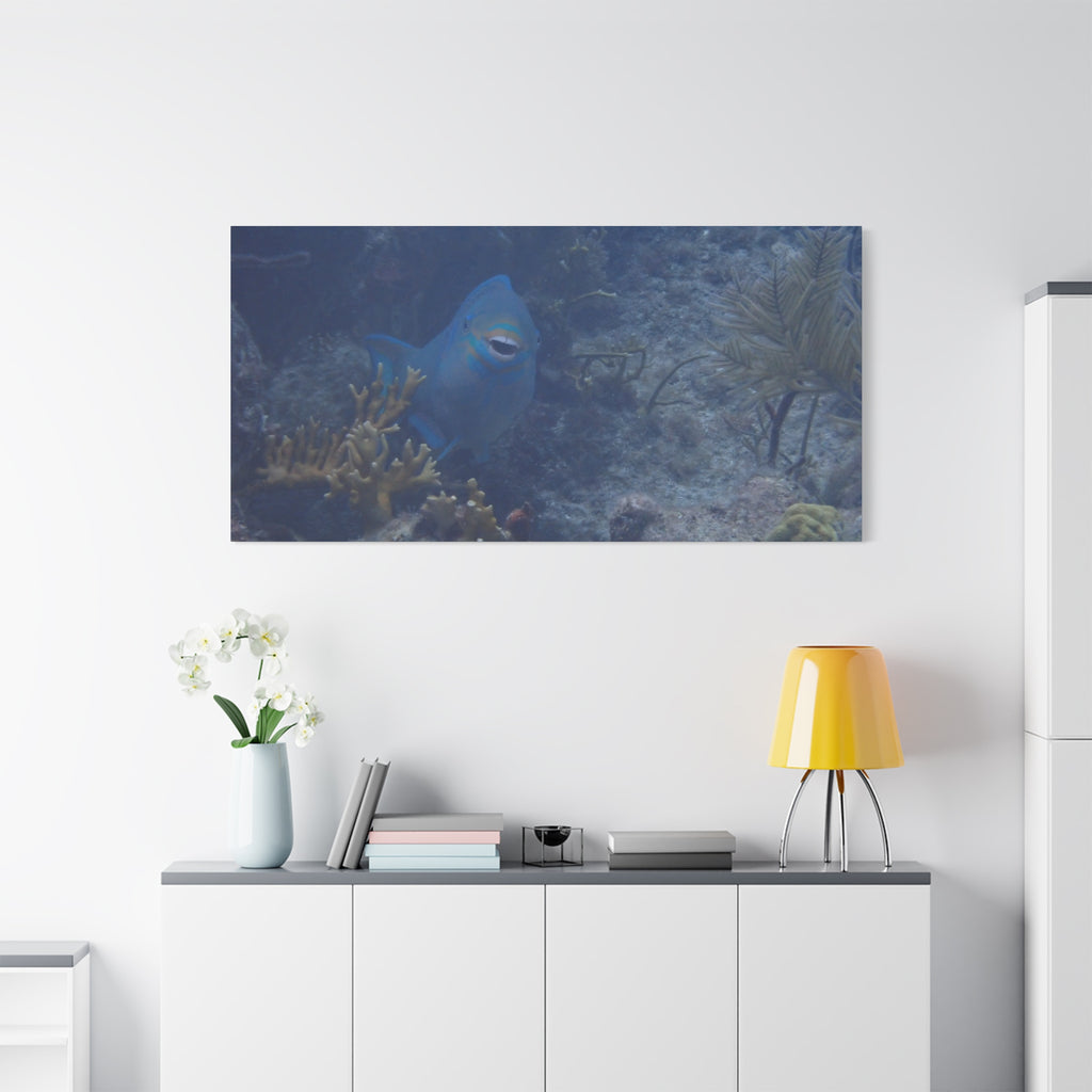 Underwater Parrotfish Canvas Print — Tropical Reef Wall Art