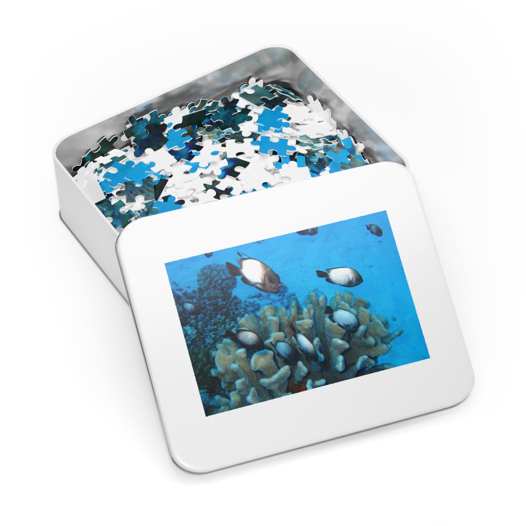Coral Reef Fish Jigsaw Puzzle (with Tin) - Ocean Puzzle Gift