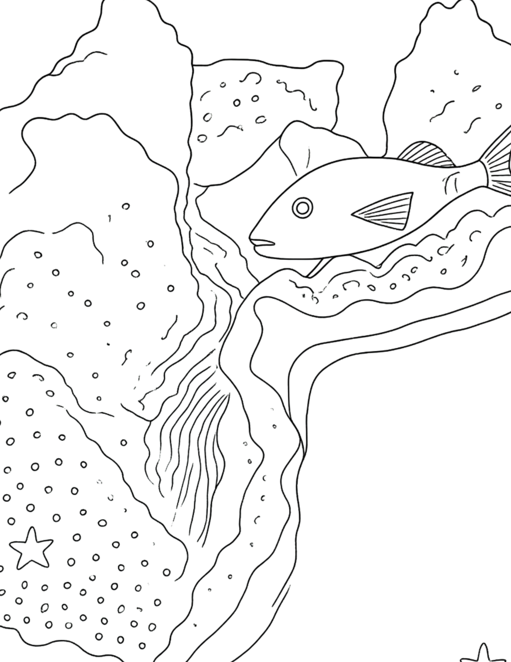 Animal Coloring Pages