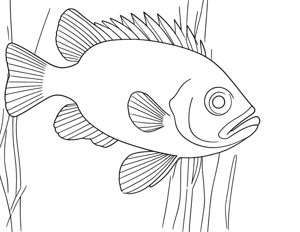Animal Coloring Pages
