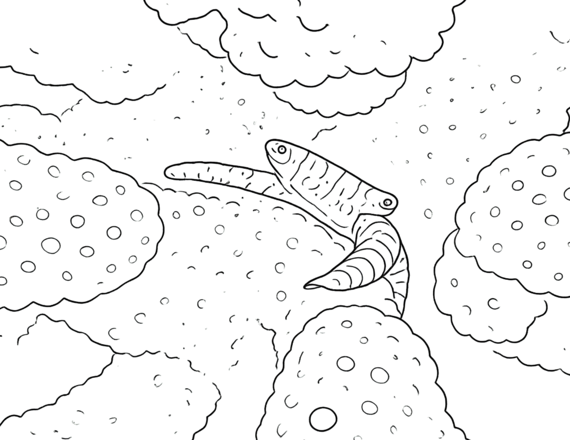 Animal Coloring Pages