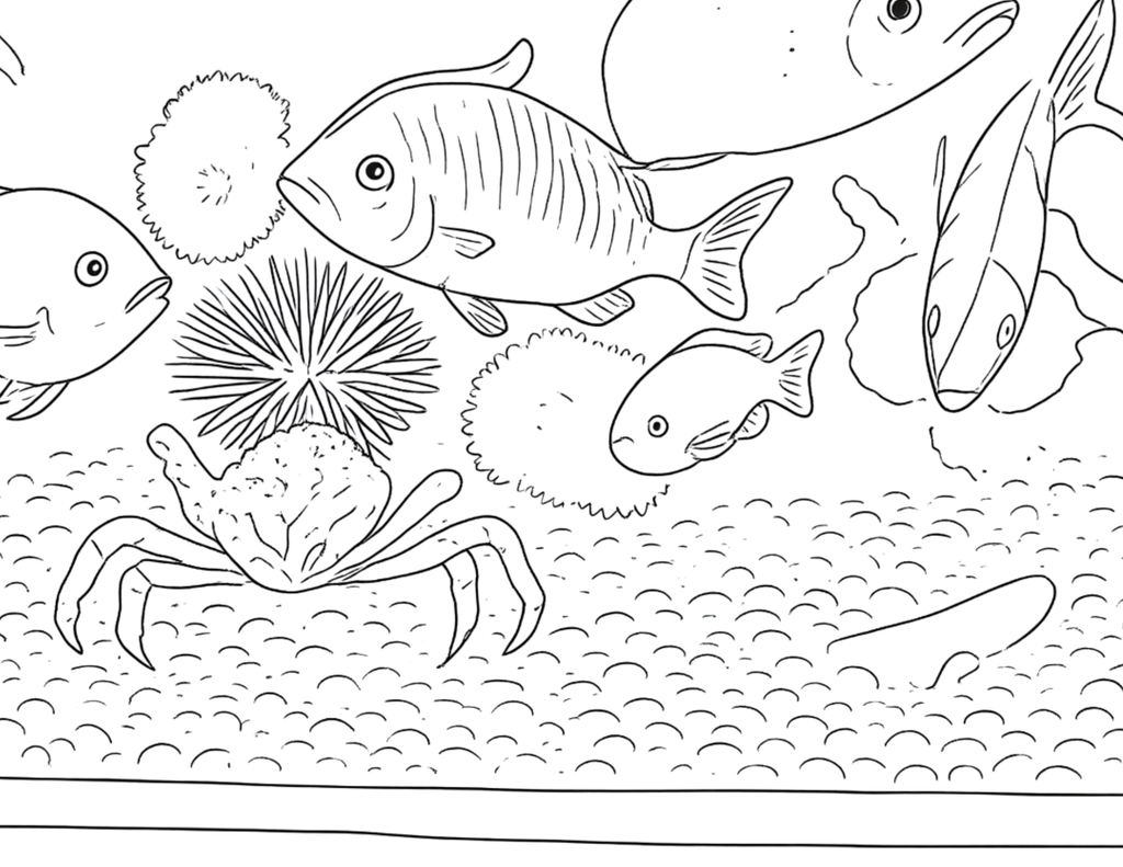 Animal Coloring Pages