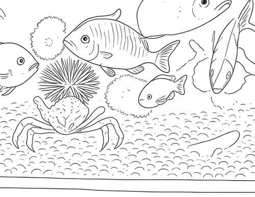 Animal Coloring Pages-Landscape Orientation
