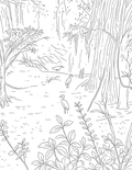 Animal Coloring Pages Volume II