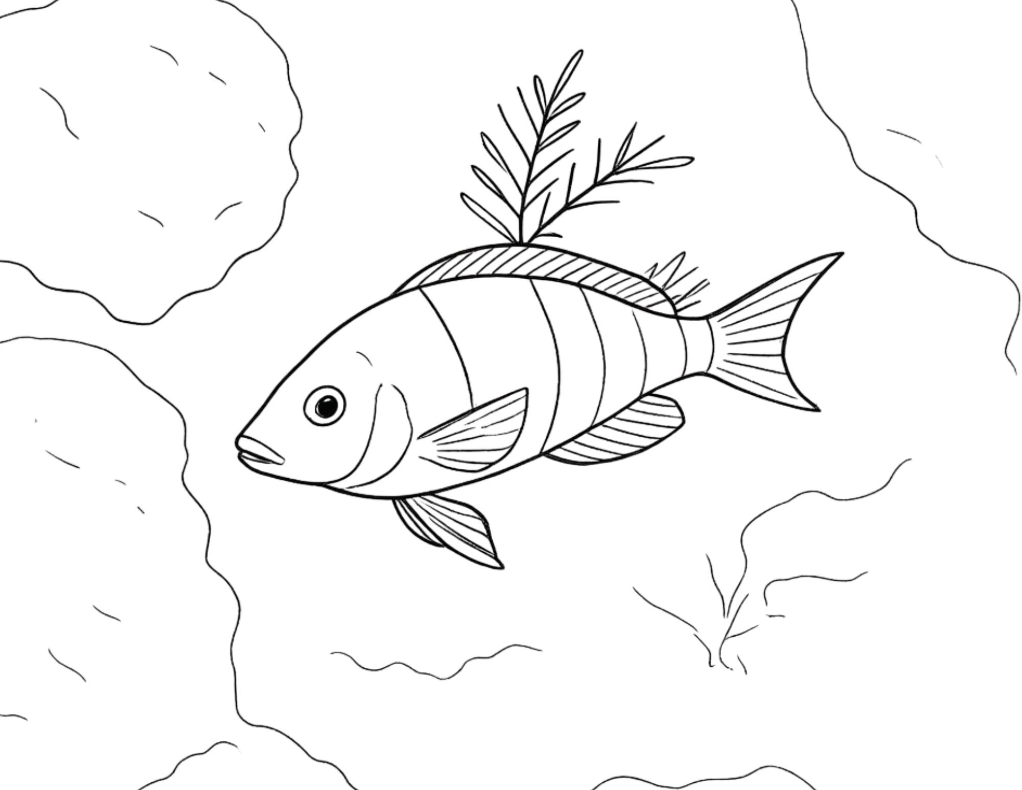 Animal Coloring Pages