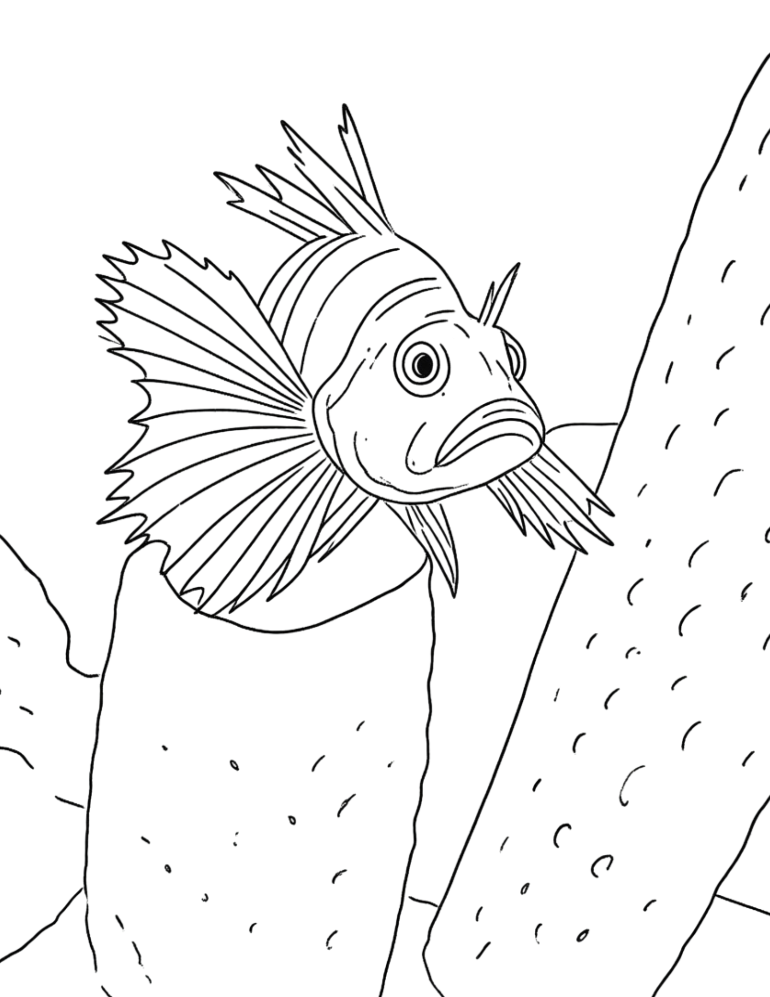 Animal Coloring Pages