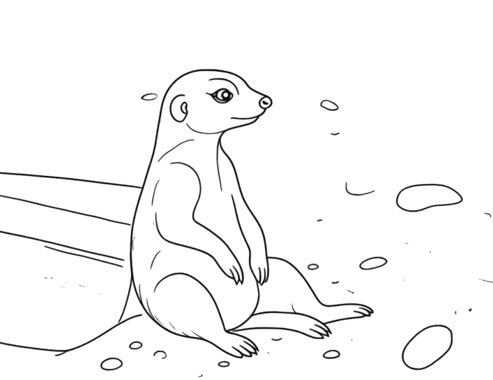 Animal Coloring Pages
