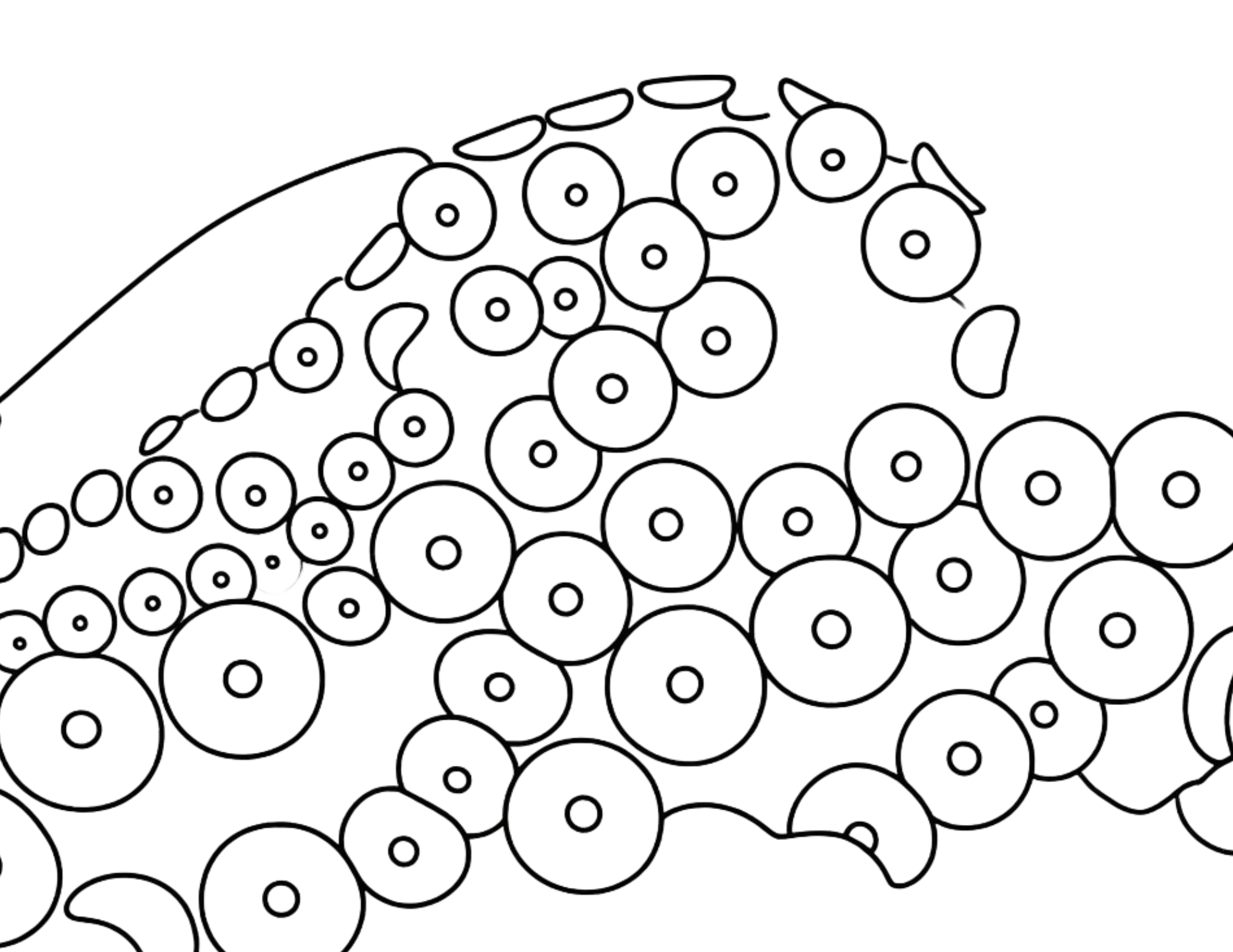 Animal Coloring Pages