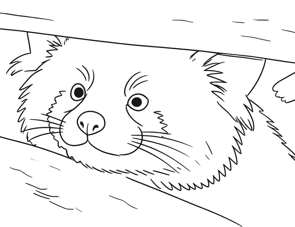 Animal Coloring Pages