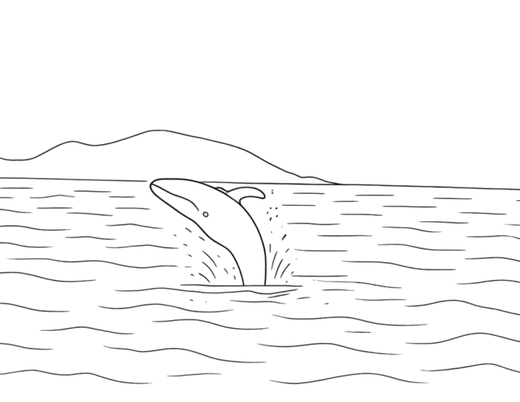 Animal Coloring Pages